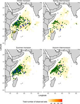 Spatio-Temporal Distribution of Juvenile Oceanic Whitetip Shark Incidental Catch in the Western Indian Ocean